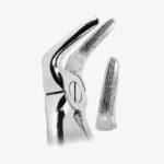 Extracting Forceps