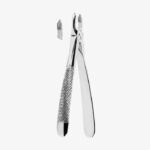 Extracting Forceps