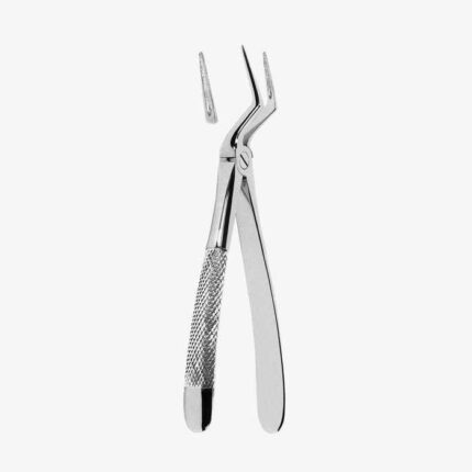 Extracting Forceps