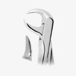 Extracting Forceps