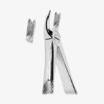 Extracting Forceps