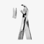 Extracting Forceps