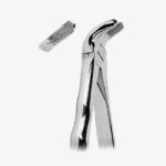 Extracting Forceps