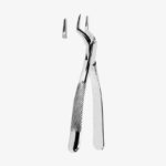Extracting Forceps American Pattern