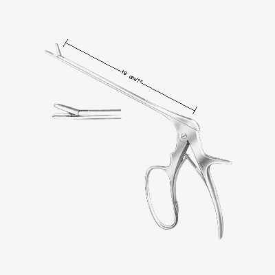 Love-Grunwald Laminectomy RFerris-Smith Laminectomy Rongeursngeurs